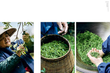 Load image into Gallery viewer, GONG FU CHA: A Book on the Chinese Tea Ceremony. Tea as a Craft and Conscious Pleasure