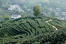 Load image into Gallery viewer, GONG FU CHA: A Book on the Chinese Tea Ceremony. Tea as a Craft and Conscious Pleasure