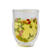 Încărcați imaginea în vizualizatorul galeriei - Pahar din sticla cu pereti dubli Mirella 350 ml