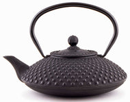 Japanese cast iron teapot 