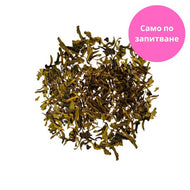 Tulsi Green Tea