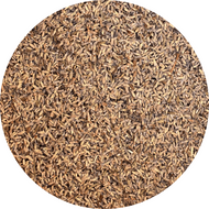 Lavender sprig